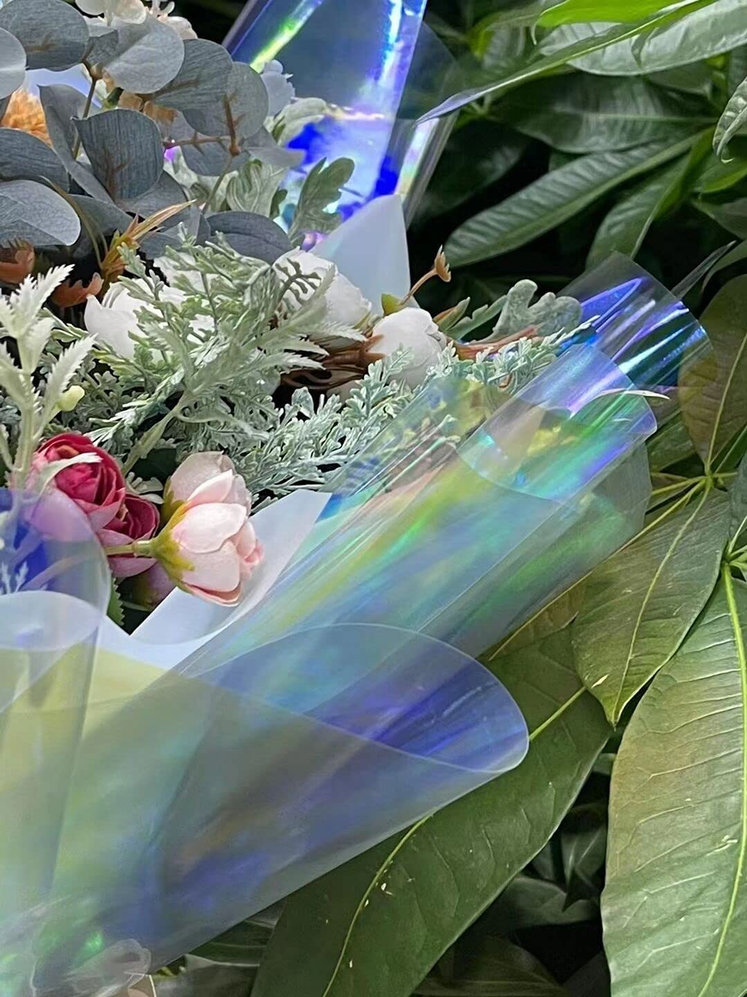 713R41dZwGL._AC_SL1440_