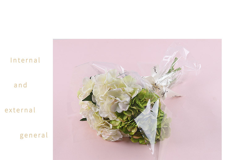 23449334176_1066564967