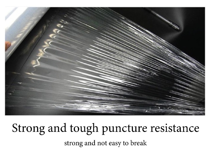 WhatsApp Image 2023-01-29 at 12.08.22 PM (1) - Copy