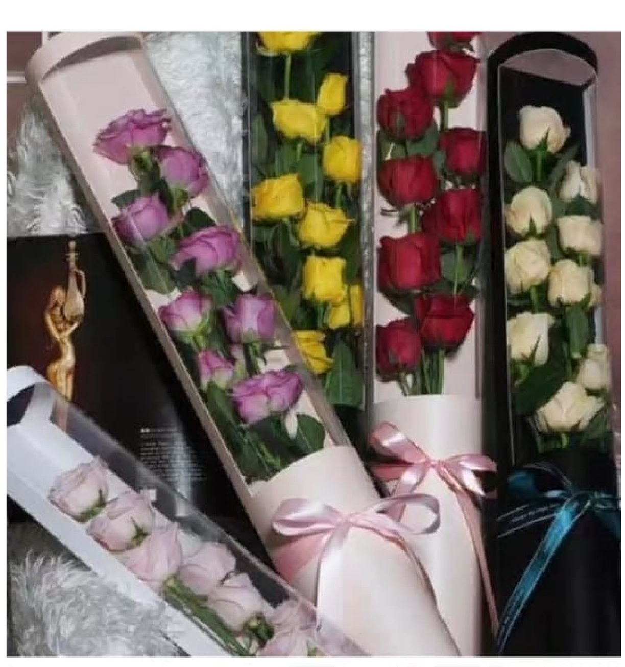 WhatsApp Image 2023-08-19 at 12.uu47.30